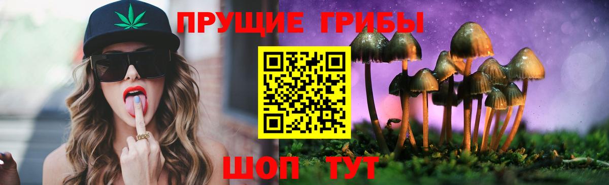 Кирово-Чепецк  Псилоцибиновые грибы Magic Shrooms  Вход с VPN  Галлюциногенные грибы мухоморы 